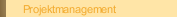 Projektmanagement